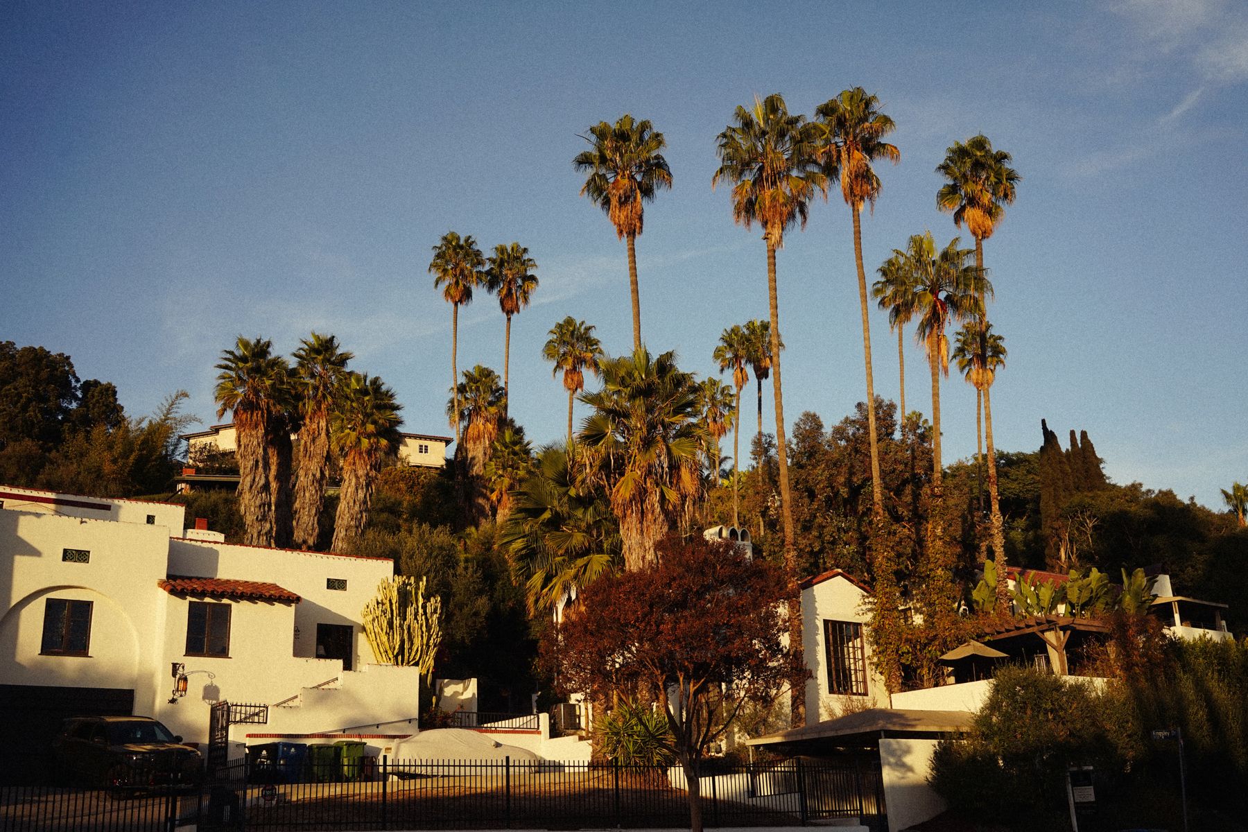 Warm Southern California homes and palms at sunset